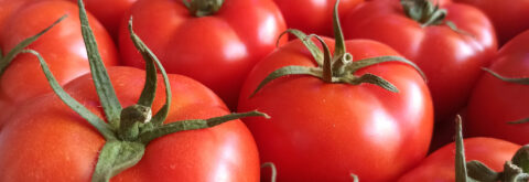 Akdenizden Domatesin En iyisini Sunuyoruz