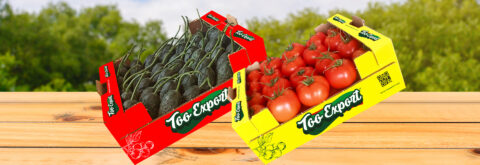 İlk günkü tazelikte