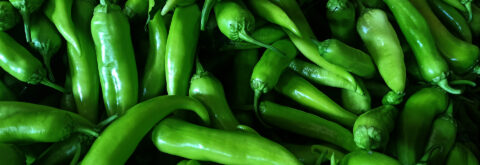 Biber üretiminde kalite