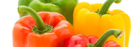 En Kaliteli California Biber çeşitleri